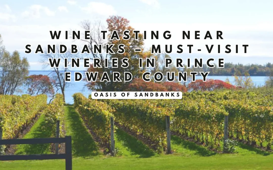 Wine Tasting Near Sandbanks – Must-Visit Wineries in Prince Edward County